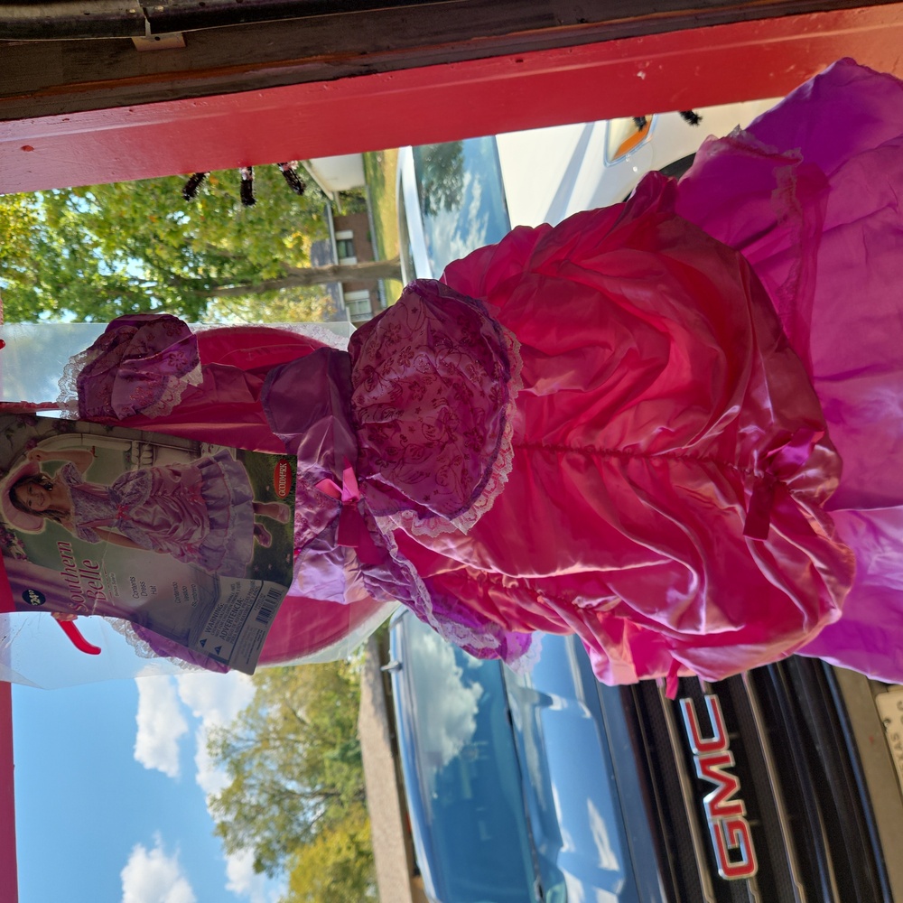 Pink Princess Kids Costume
